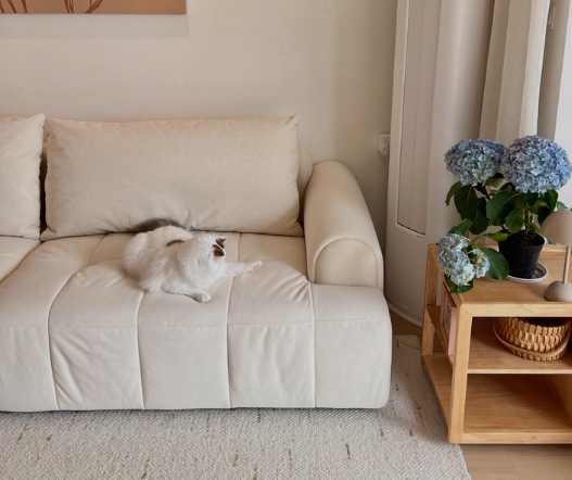 出狄普泡芙沙发，2.8米Ultra版，像坐在棉花糖上一样舒服